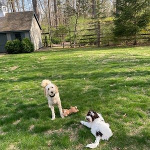 Meet your Posher, Glenn